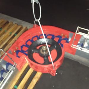 Ligne d'alimentation à chaîne-disque à auge ouverte pour volailles et porcs